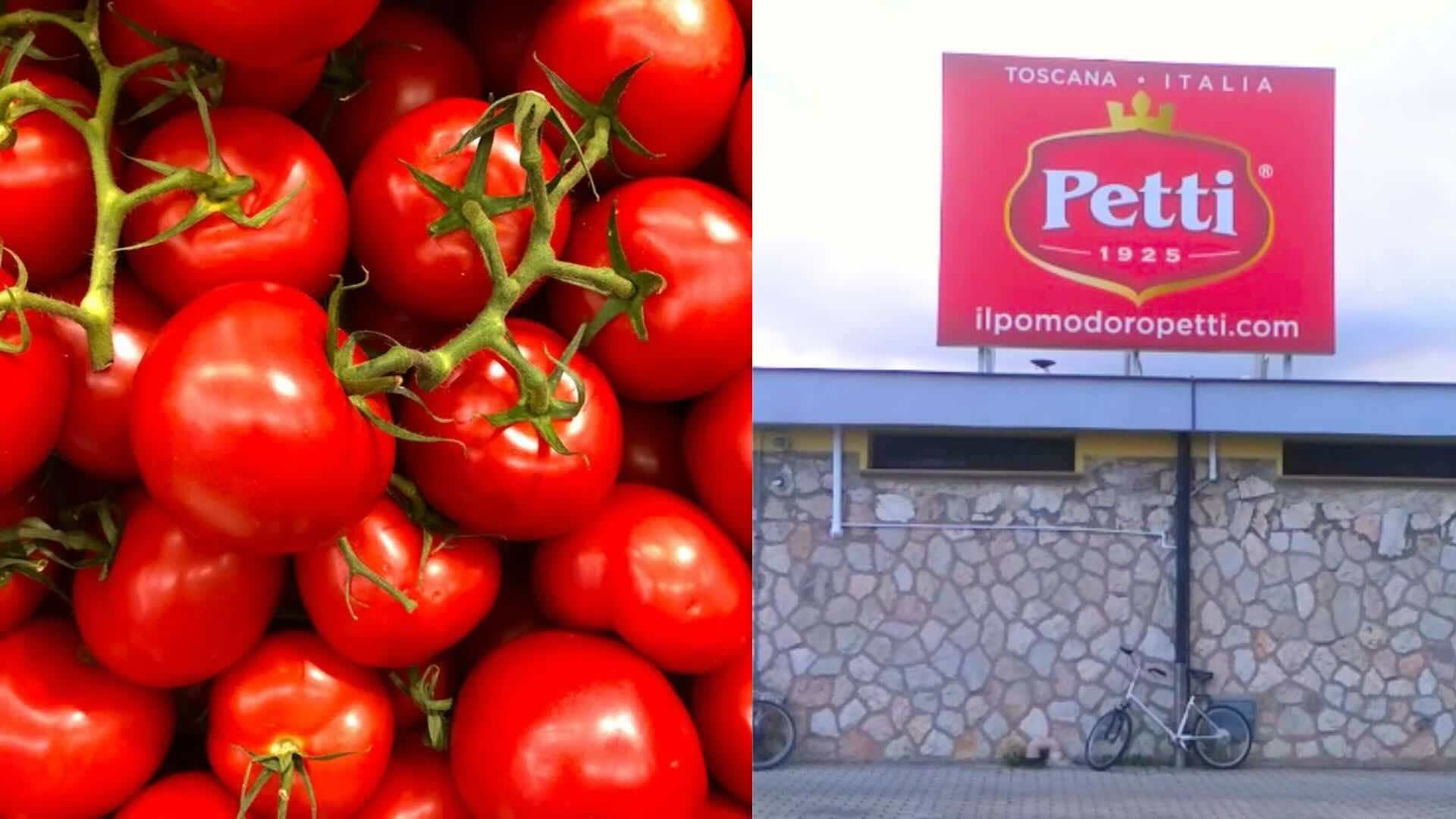 pomodoro cinese spacciato italiano