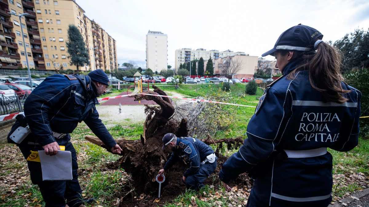 roma albero caduto donna morta colli aniene