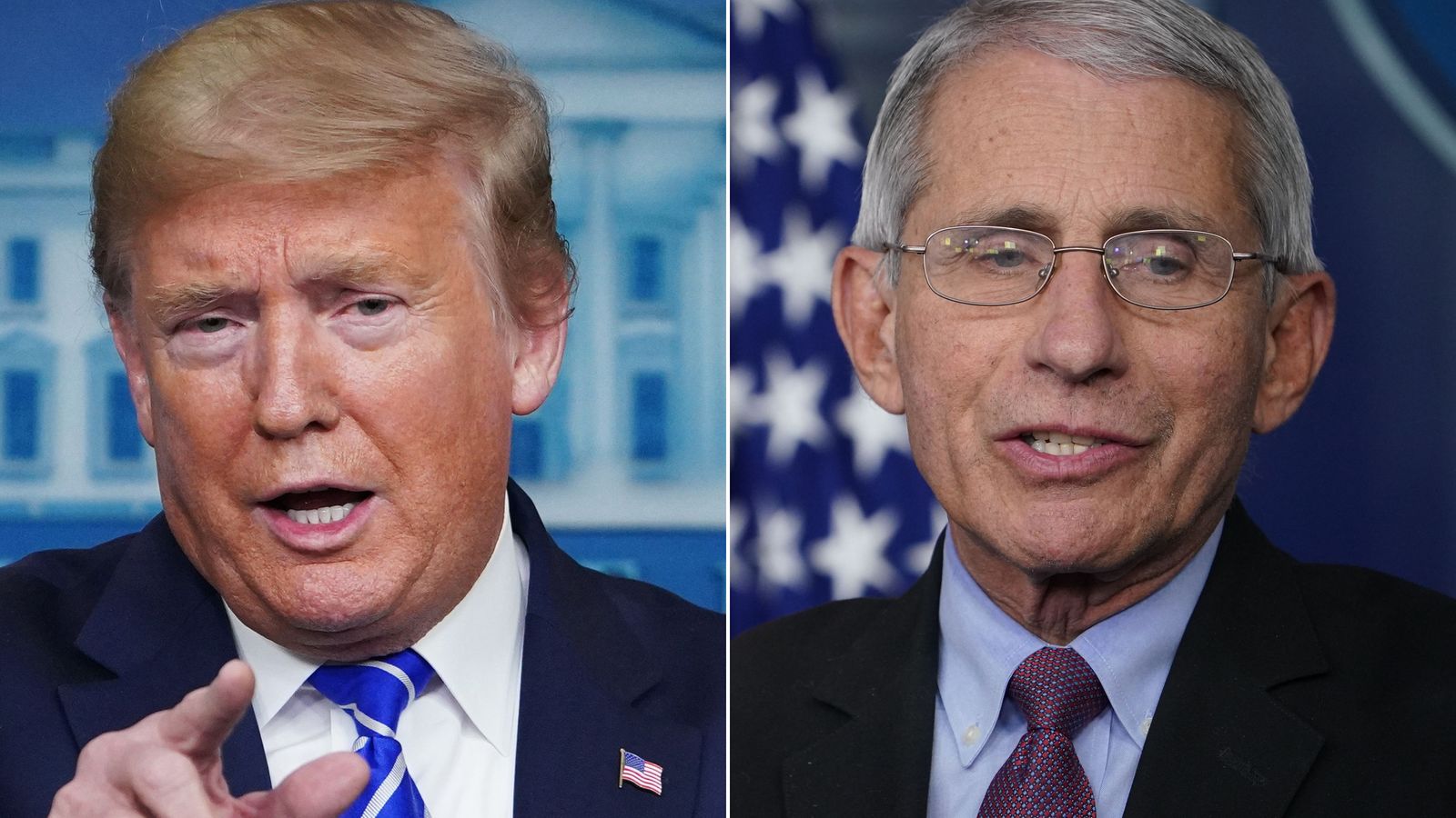 donald trump anthony fauci