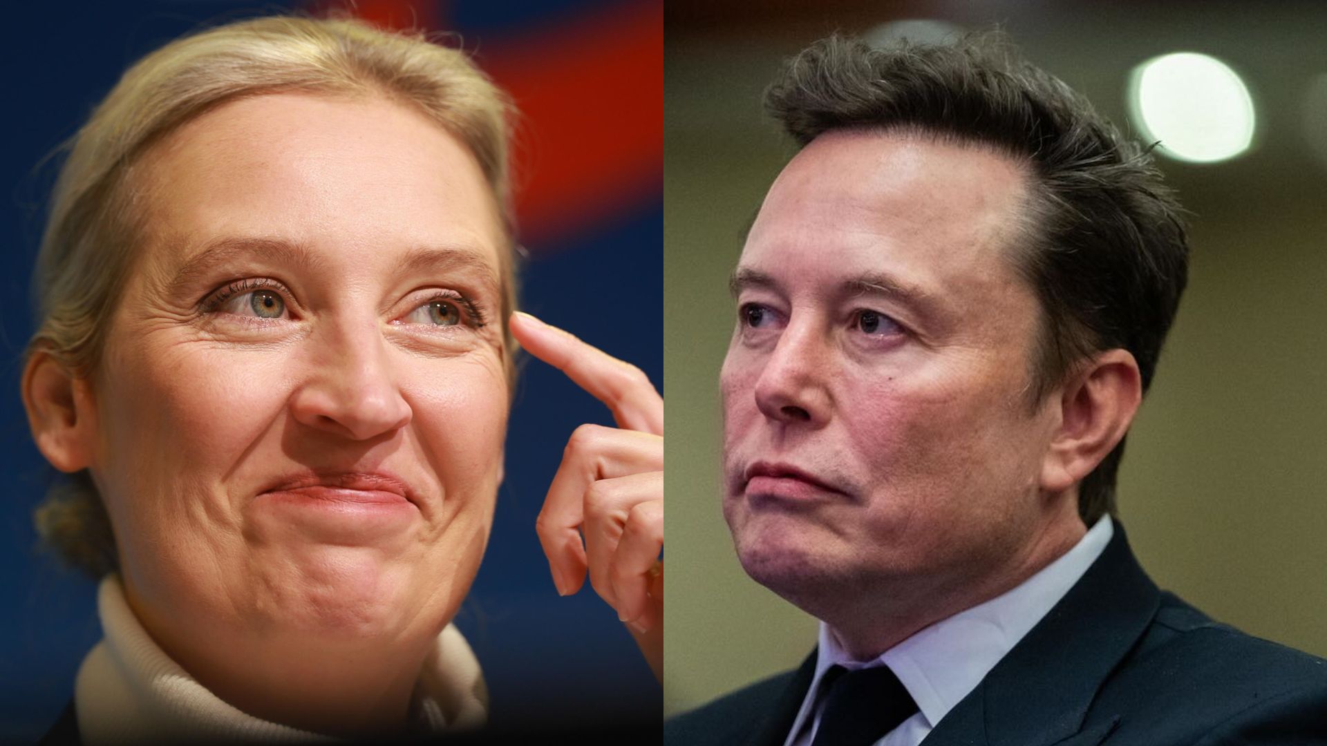 elon musk alice weidel