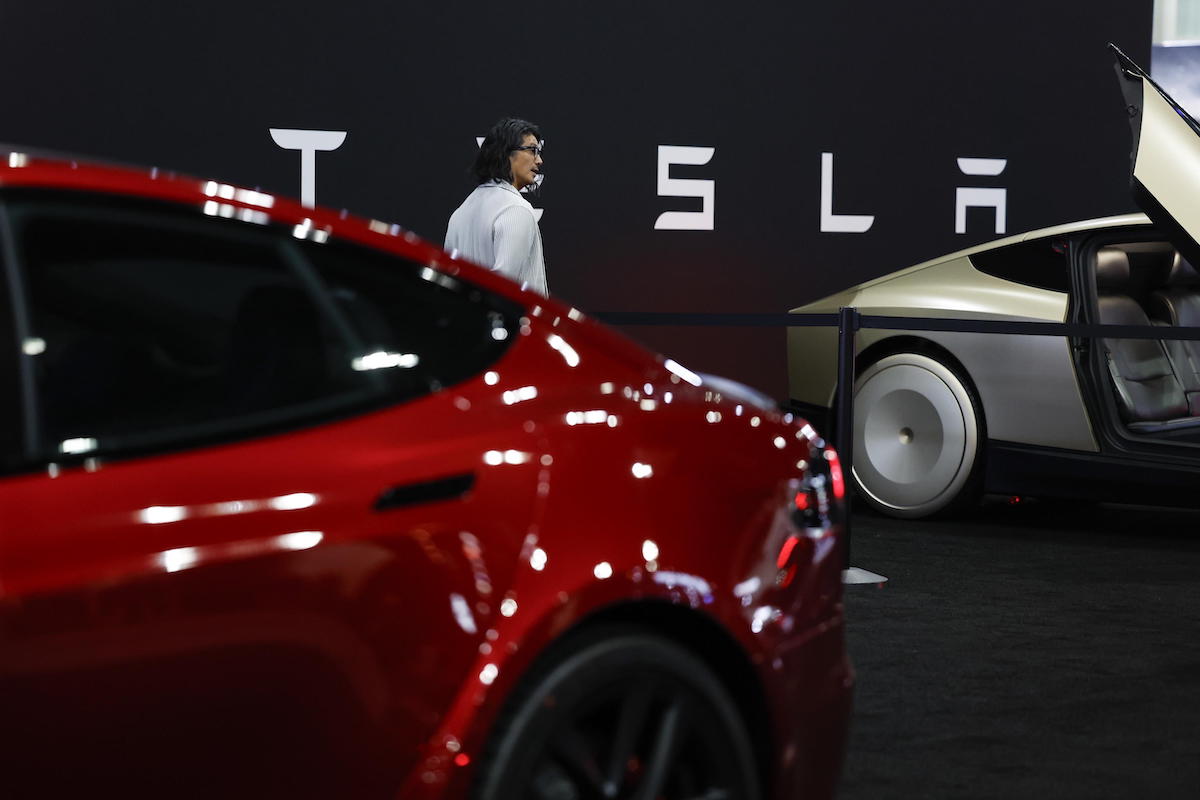 tesla musk dati vedntie 2024 calo