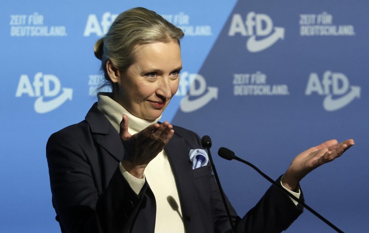 elezioni germania crisi economica alice weidel afd