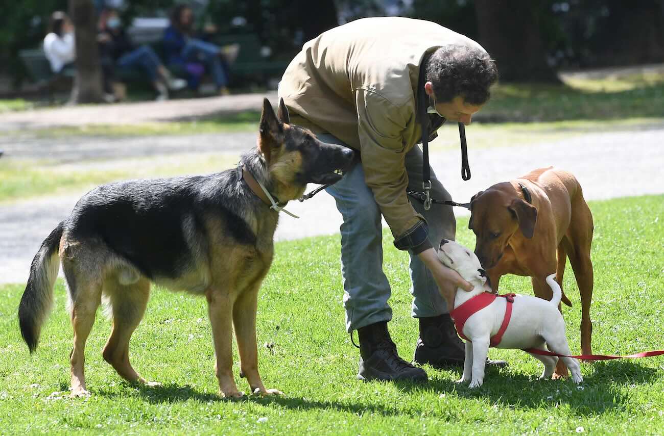 Cani vietati parchi milano