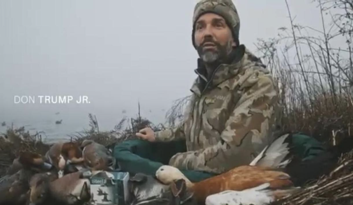 «Trump jr a caccia di anatre protette nella laguna di Venezia»: la denuncia di Europa Verde  – Il video