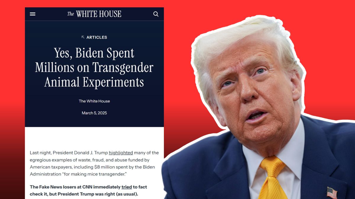 https://static.open.online/wp-content/uploads/2025/03/casa-bianca-trump-topi-transgender-comunicato-0.jpg