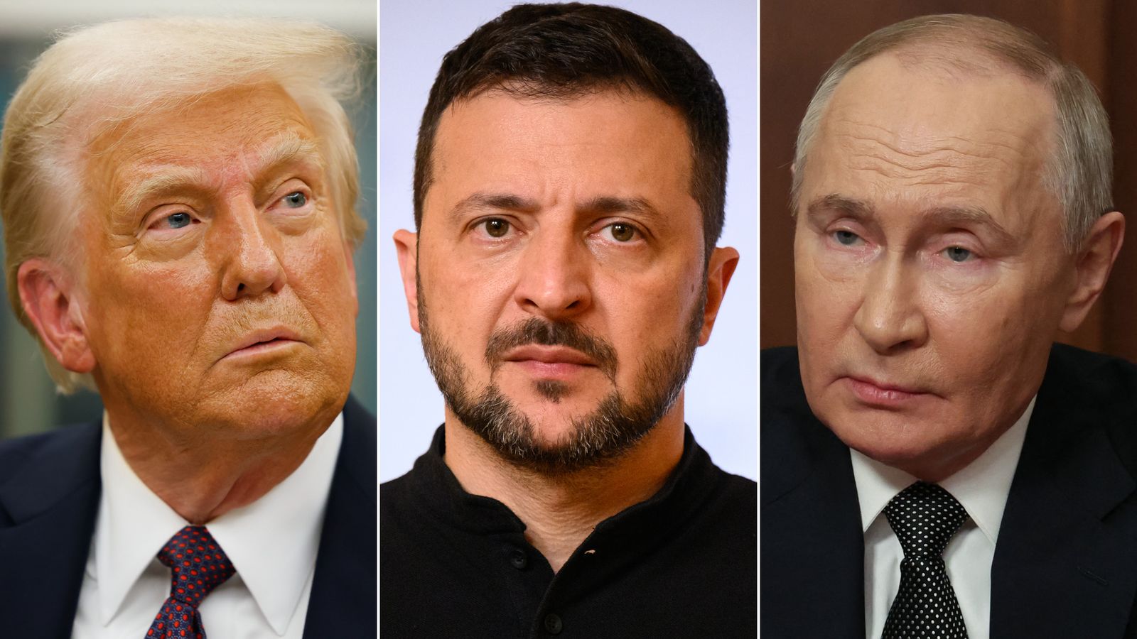 donald trump volodymyr zelensky vladimir putin terre rare server centrali nucleari ucraina