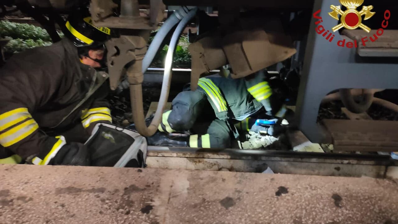 «Aiuto il mio gatto è scappato sotto il treno!». I vigili del fuoco salvano il micio intrappolato tra i binari alla stazione Termini a Roma