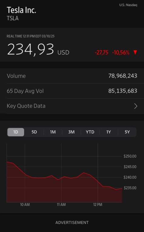 crollo tesla borsa