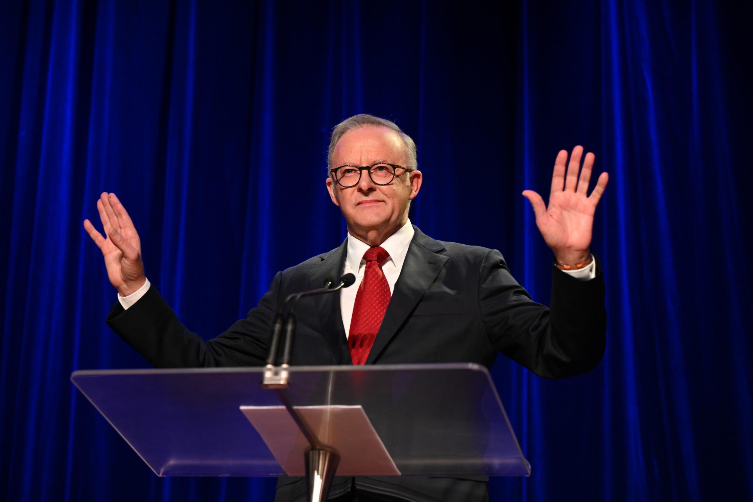 anthony albanese vince elezioni