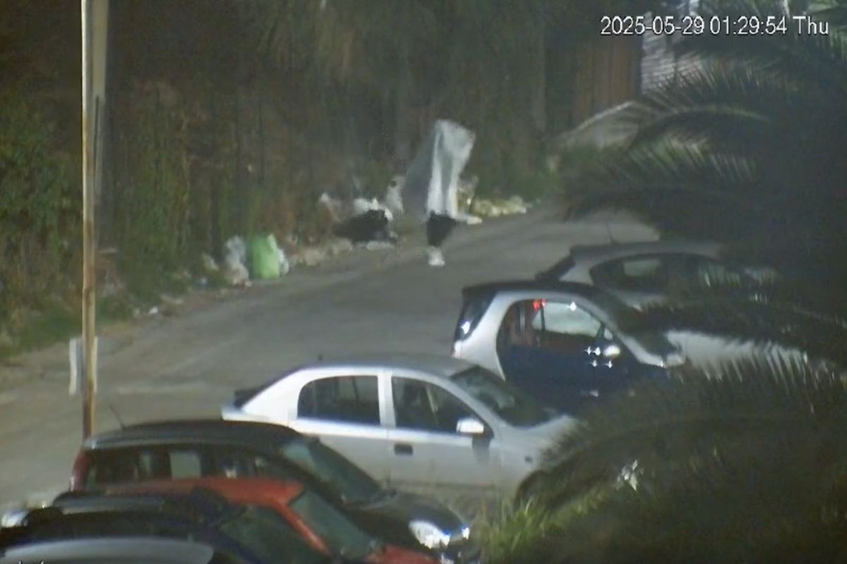 nascosto sotto un lenzuolo per gettare la spazzatura nei giorni sbagliati scatta la multa per il fantasma di monreale – il video da Open.online nascosto sotto un lenzuolo per gettare la spazzatura nei giorni sbagliati scatta la multa per il fantasma di monreale – il video