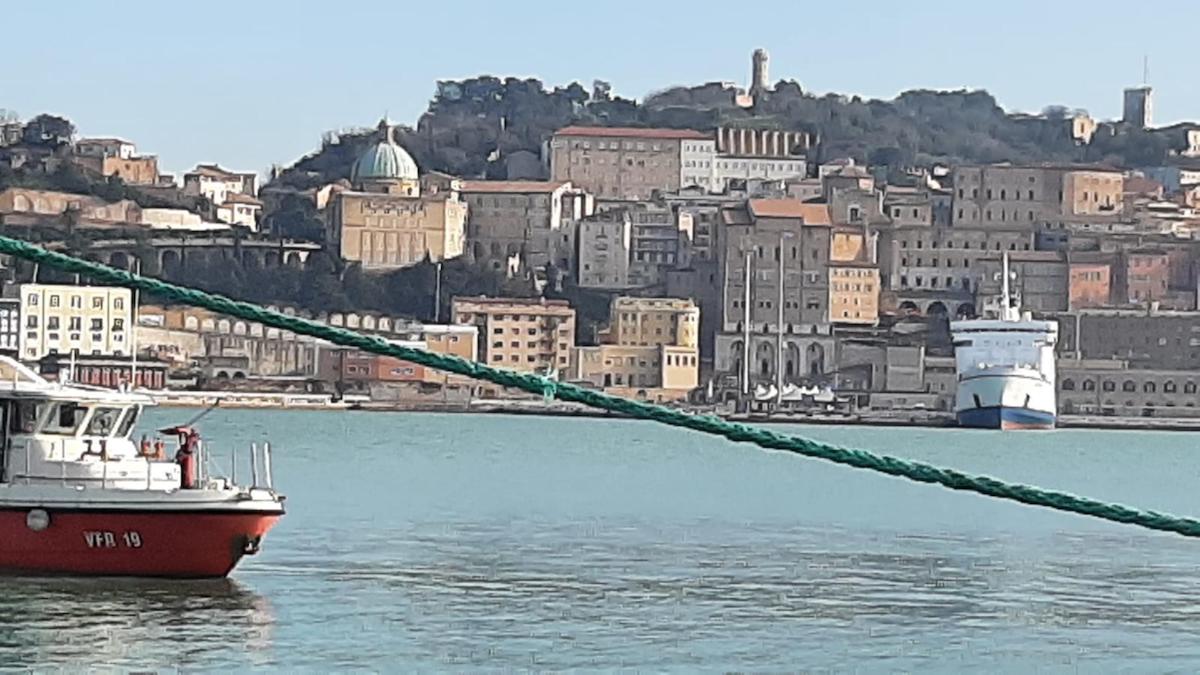 Regionali Marche, la destra con Acquaroli (uscente) teme il centrosinistra. Ecco perché la scelta della data sarà decisiva Regionali Marche, la destra con Acquaroli (uscente) teme il centrosinistra. Ecco perché la scelta della data sarà decisiva