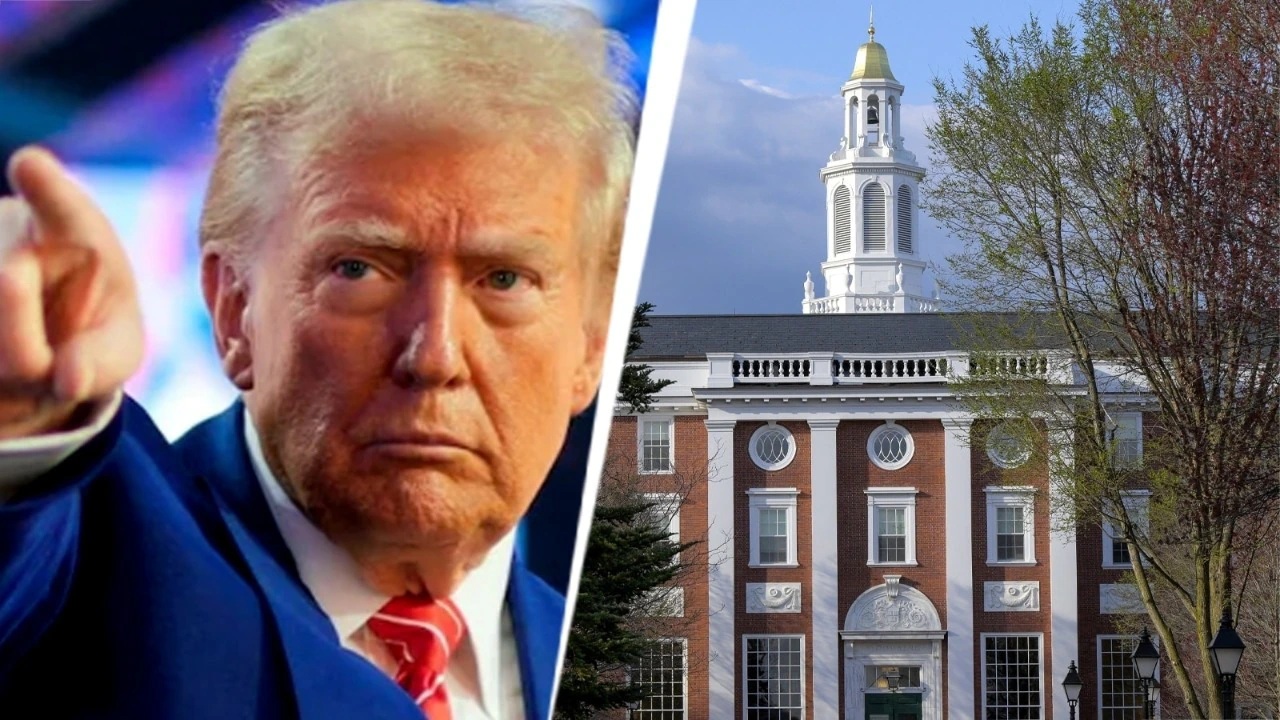 donald trump harvard studente italiano