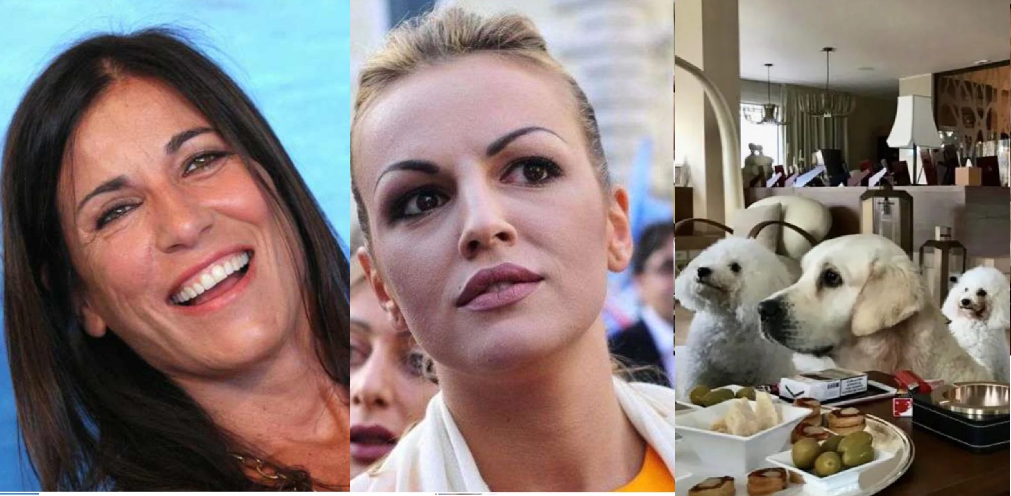 La disfida del cane Lupo tra Francesca Pascale e Paola Turci La disfida del cane Lupo tra Francesca Pascale e Paola Turci