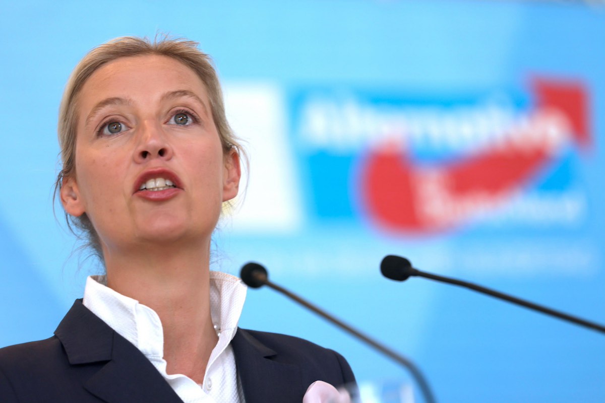 germania afd estrema destra