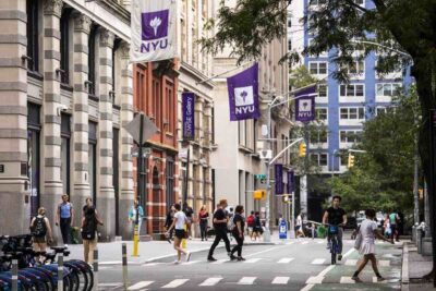 nyu università