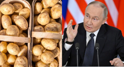 vladimir putin patate economai russia