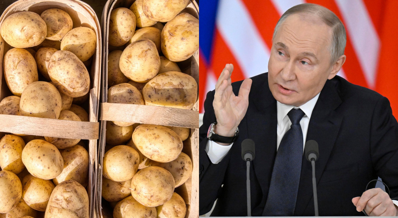 vladimir putin patate economai russia