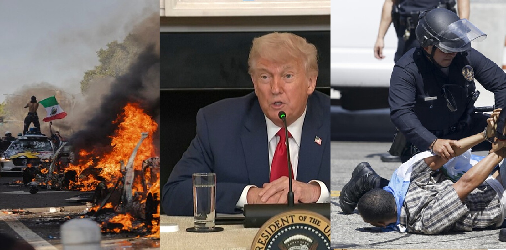 donald trump los angeles immigrazione animali pagati