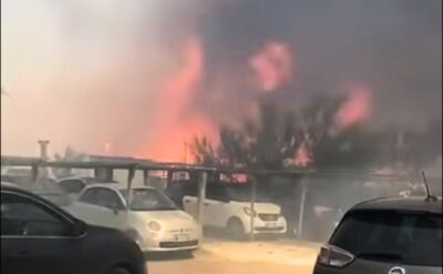 incendio pineta