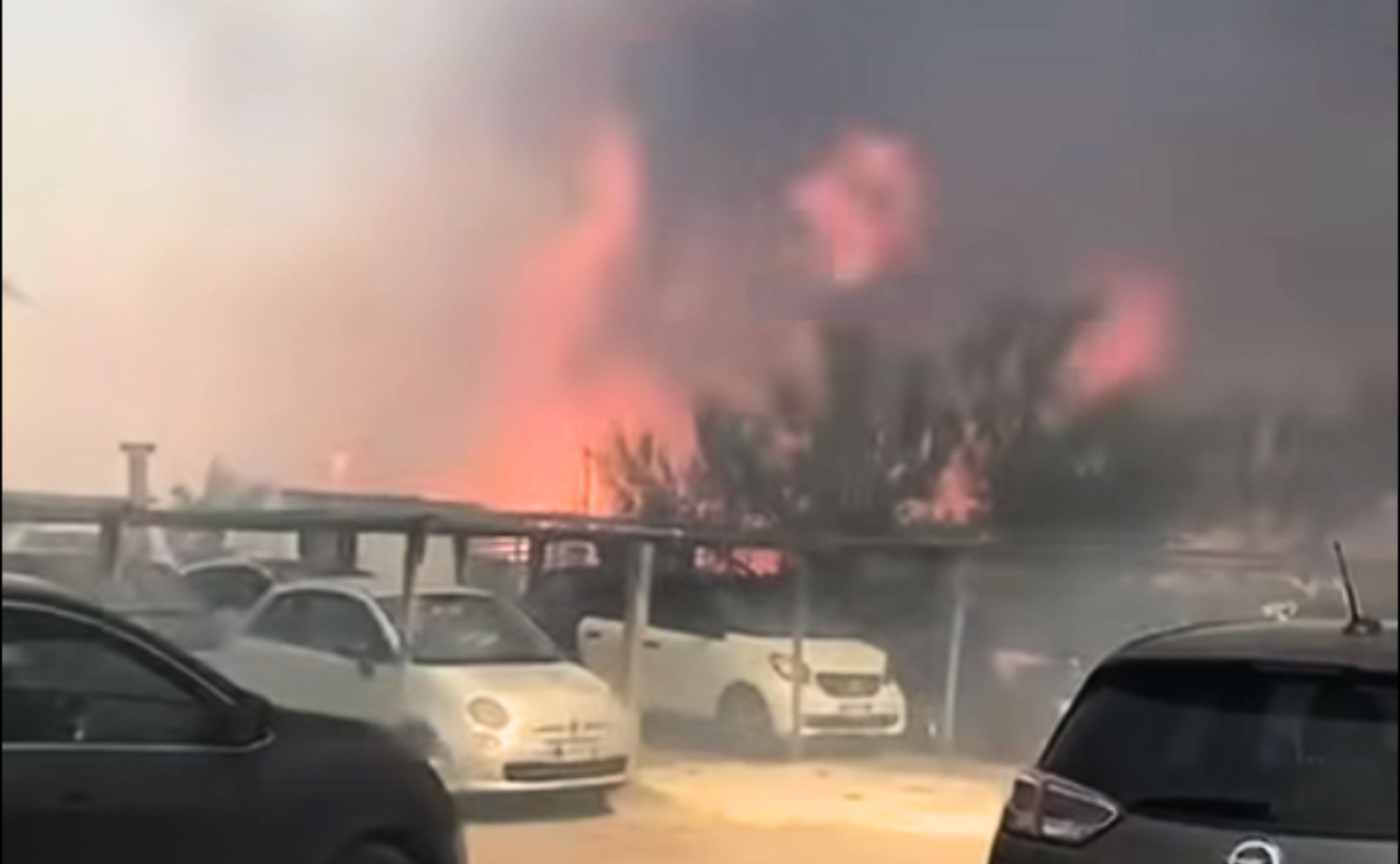 https://static.open.online/wp-content/uploads/2025/06/incendio-pineta.jpg