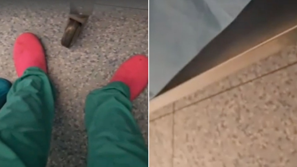 insulti botte tor vergata