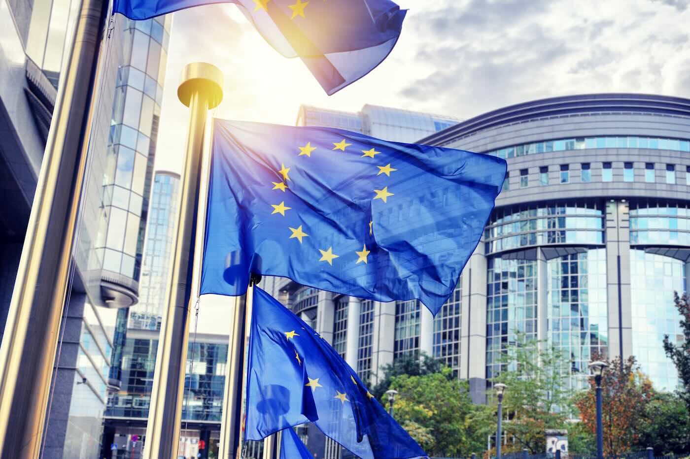 cosa e il parlamento europeo