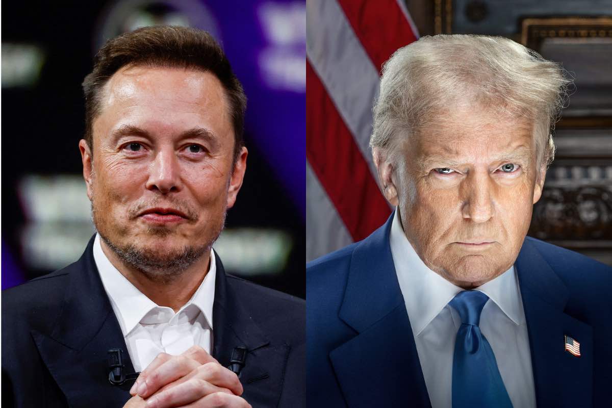 trump musk