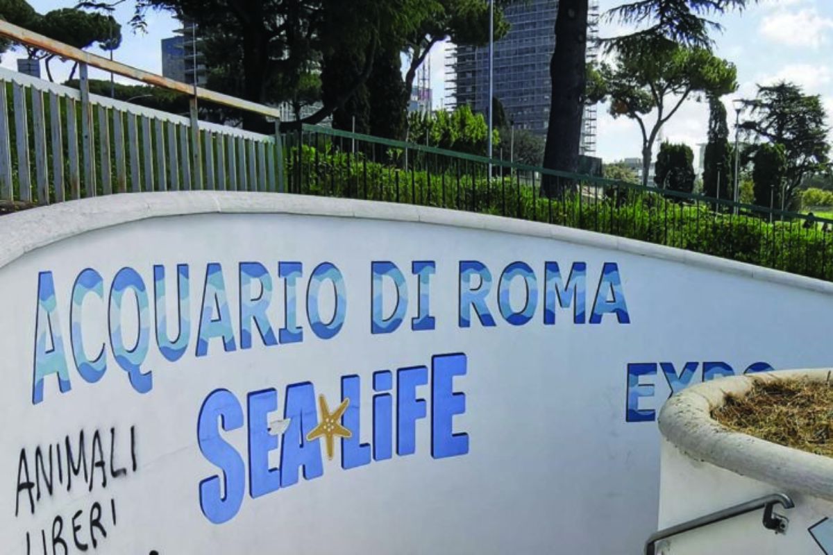 acquario di roma