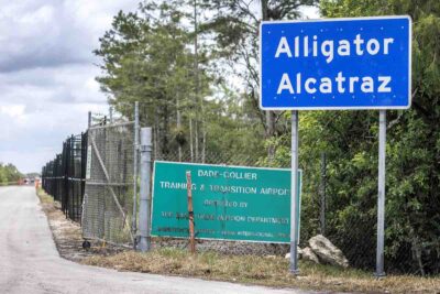alligator alcatraz