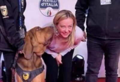 Cane Bruno ucciso premiato da Giorgia Meloni