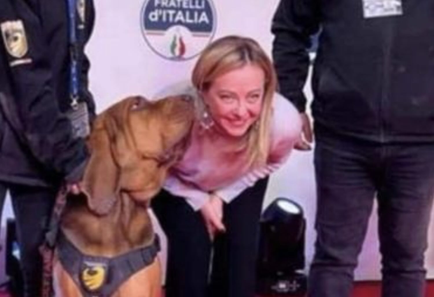 Cane Bruno ucciso premiato da Giorgia Meloni