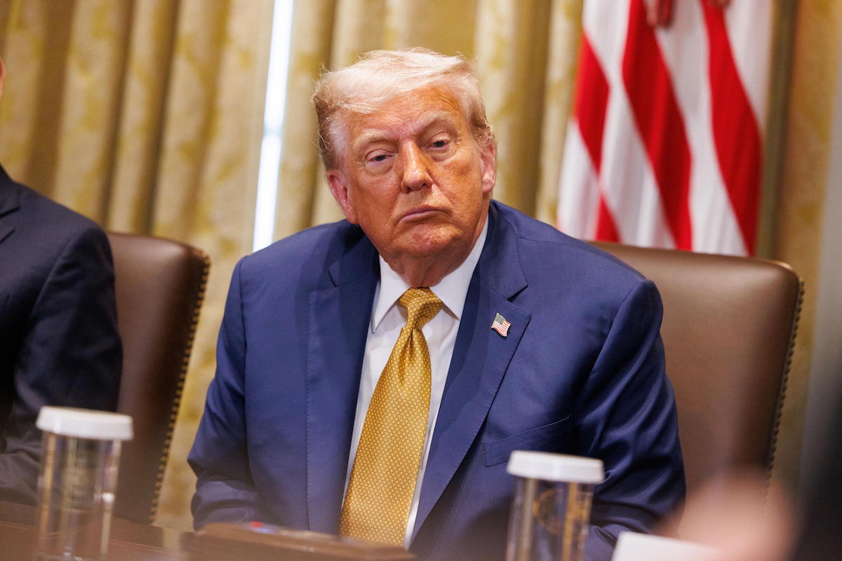 donald trump dazi