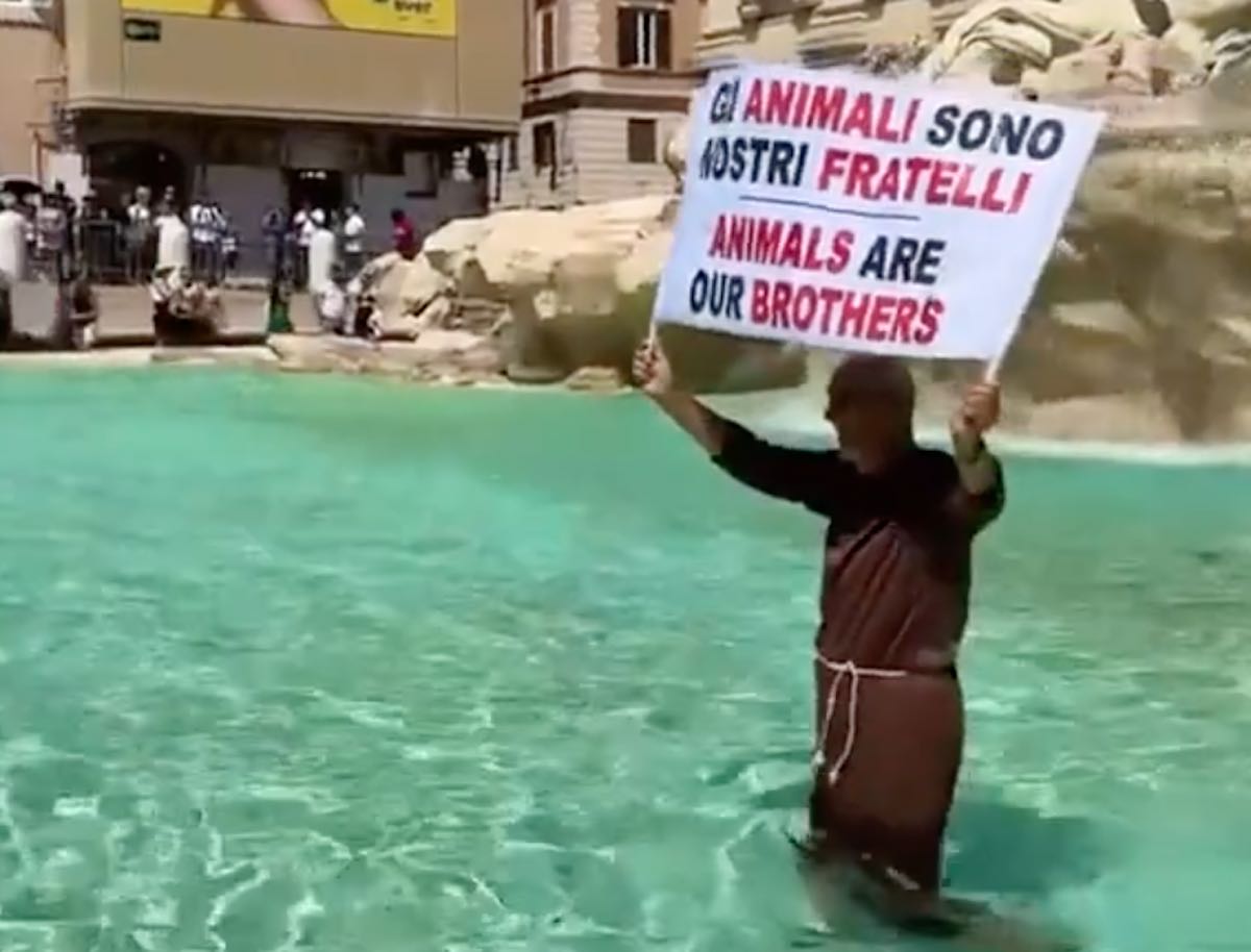 https://static.open.online/wp-content/uploads/2025/07/frate-fontana-trevi-.jpg