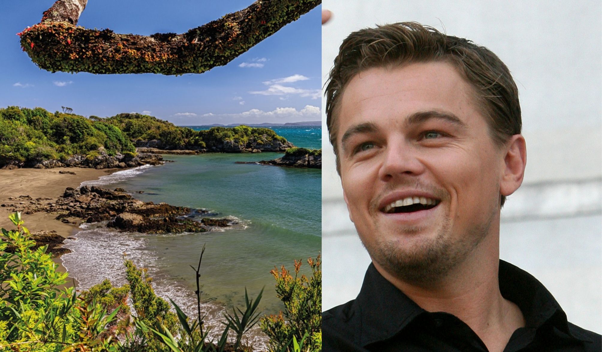 leonardo di caprio isola cile acquisto