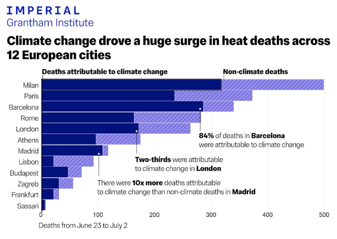 morti caldo ondate calore dati