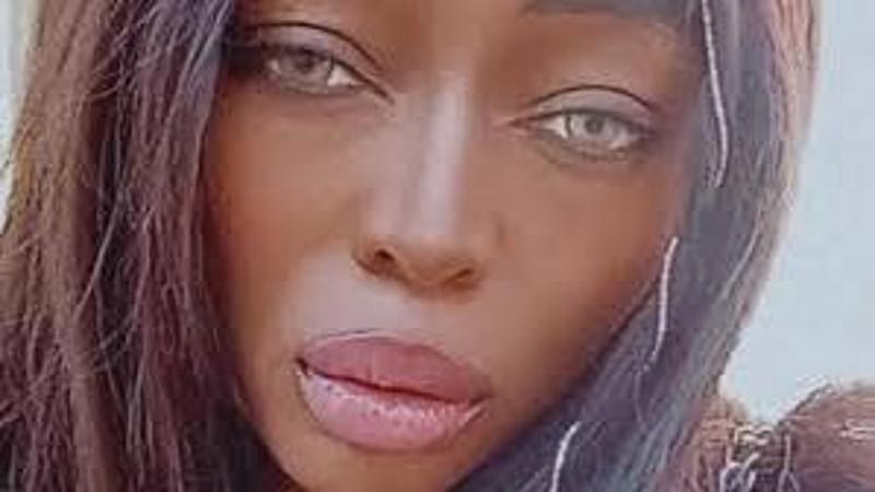 patricia masithela pitbull foto online
