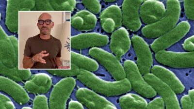vibrio vulnificus matteo bassetti emergenza florida