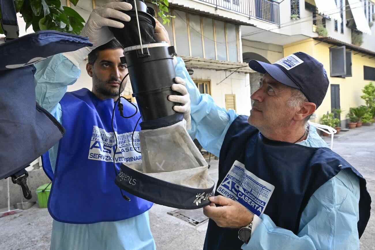 West Nile, trappole per zanzare