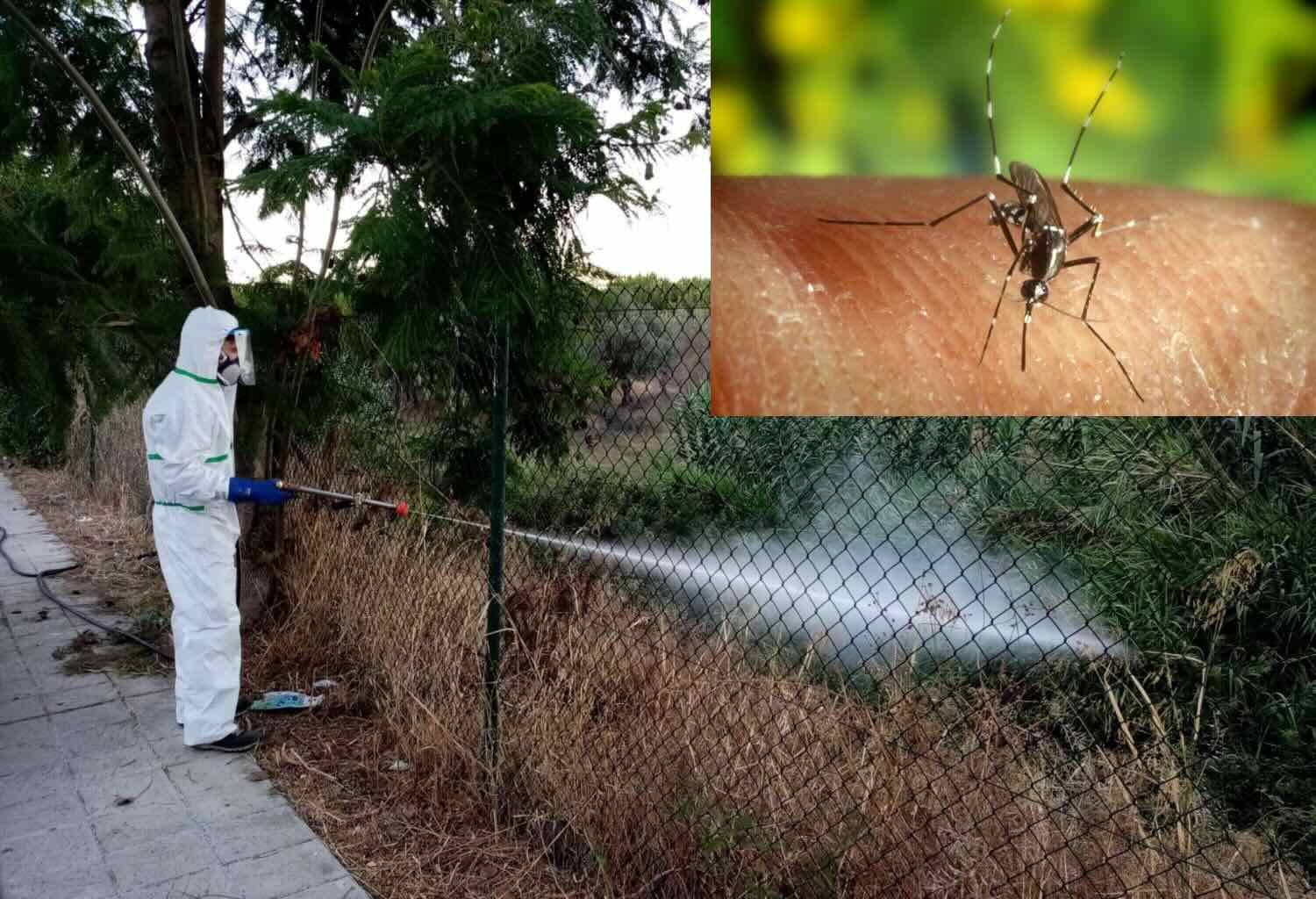 West Nile