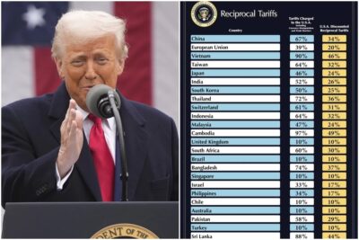 donald trump dazi sentenza giudici usa