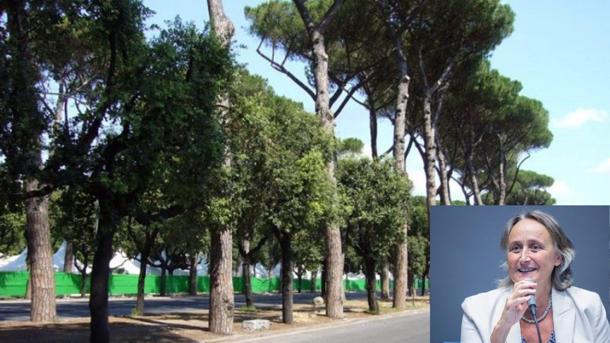 gestione verde roma alfonsi