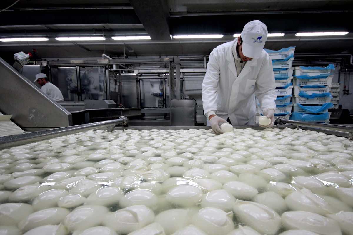 mozzarelle