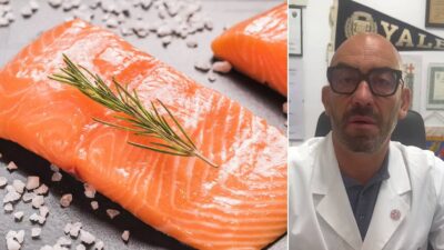 salmone antibiotici batteri bassetti video