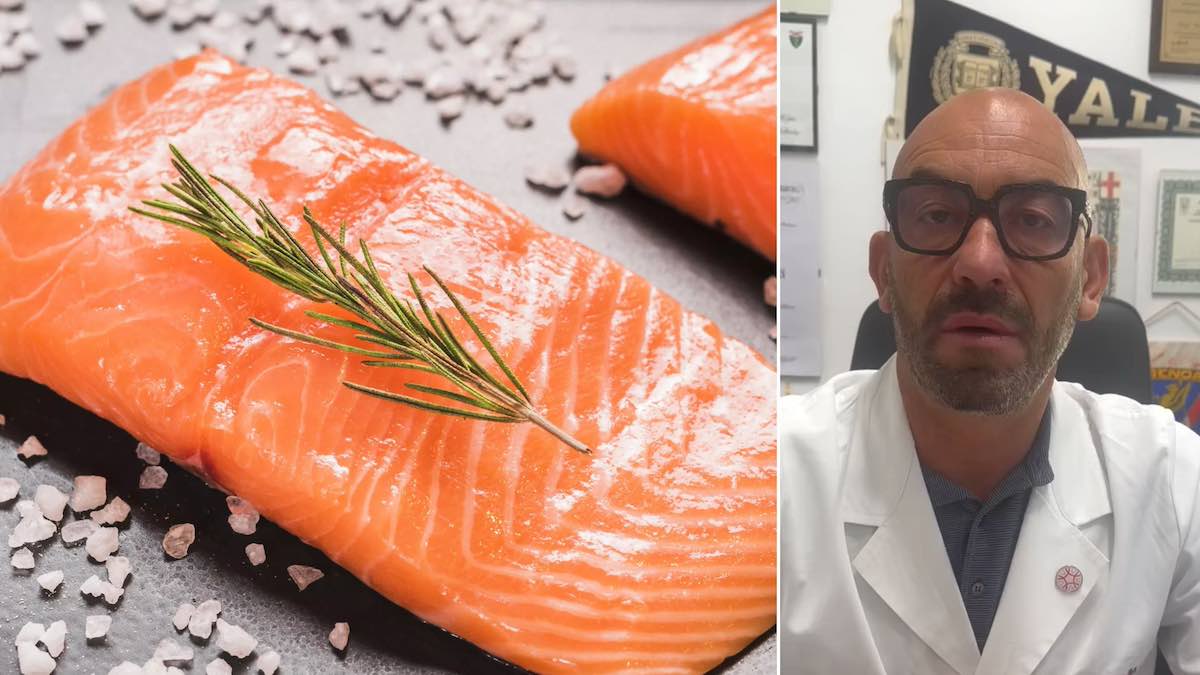salmone antibiotici batteri bassetti video