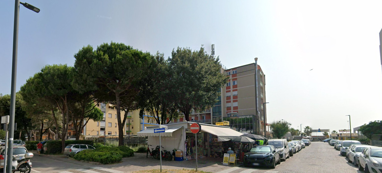 chioggia turista tedesca accoltellata cane