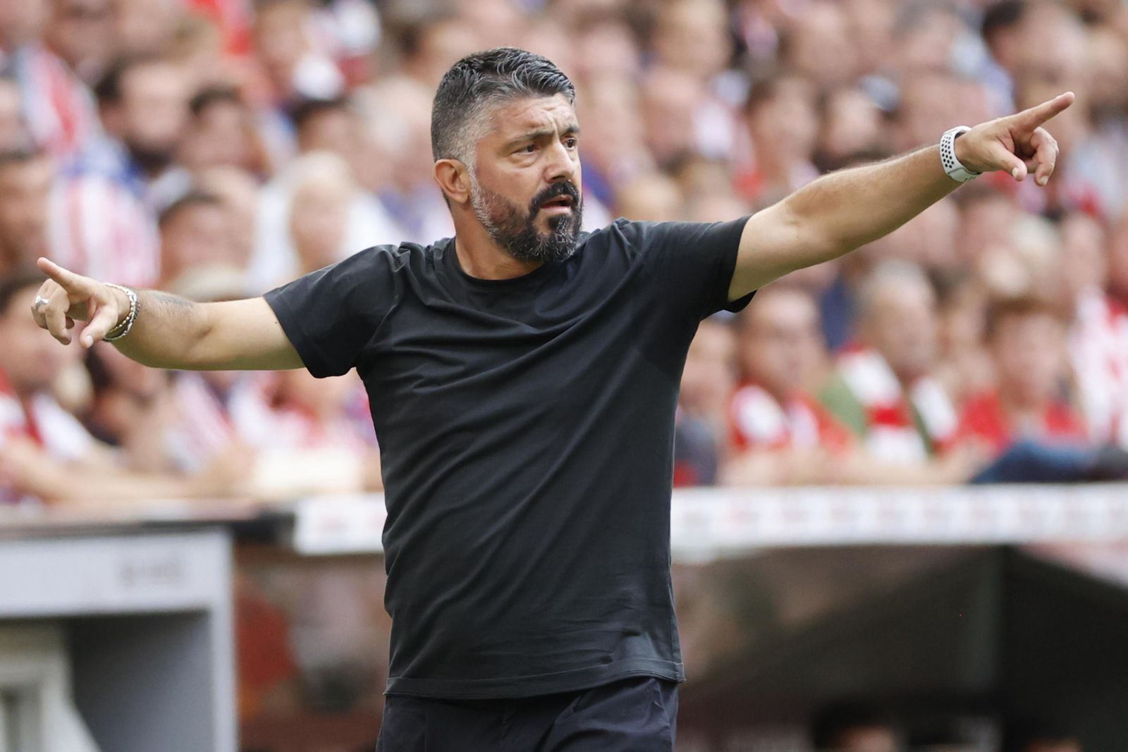 gattuso-perdite-ristorante-societa-immobiliare-moglie