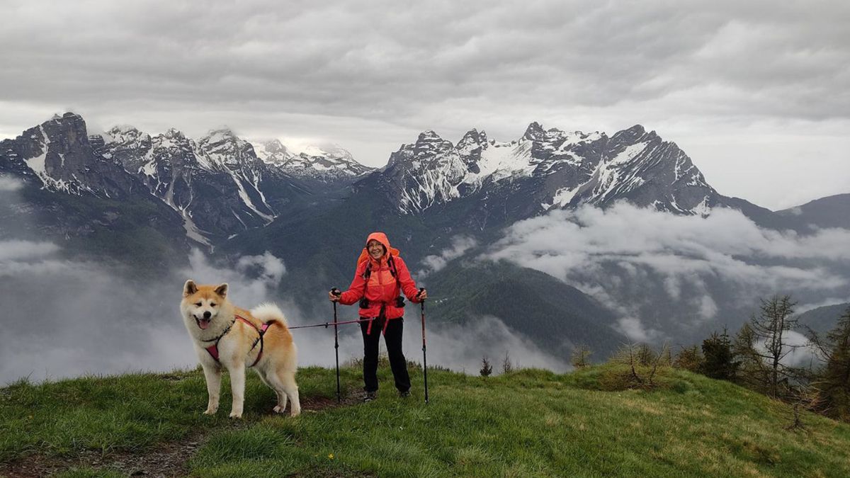 tassa cani