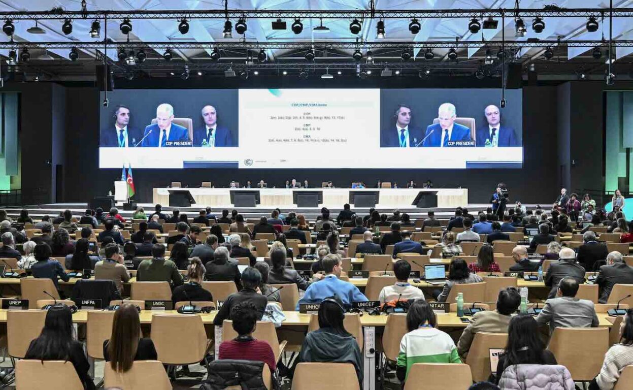 cop29 baku azerbaijan plenaria