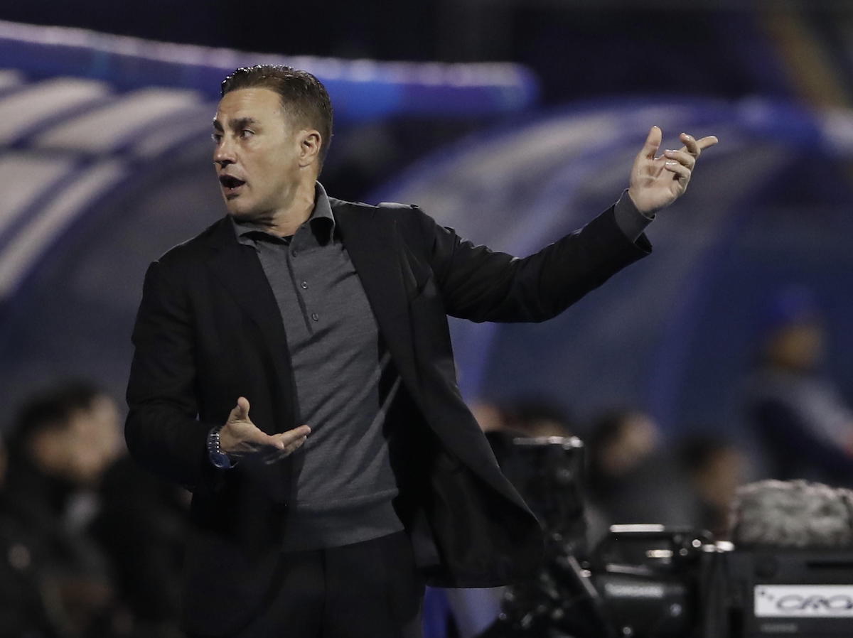 fabio cannavaro