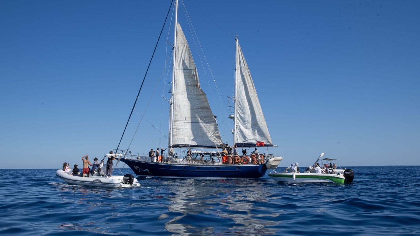 freedom flotilla attacco israele acque gaza manifestazioni